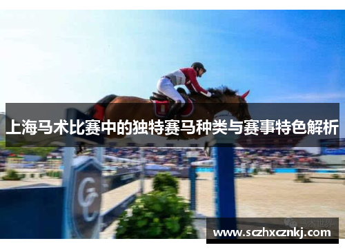 上海马术比赛中的独特赛马种类与赛事特色解析