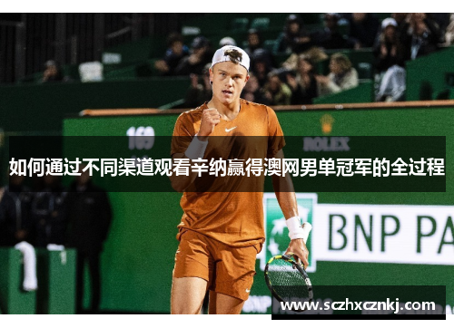如何通过不同渠道观看辛纳赢得澳网男单冠军的全过程