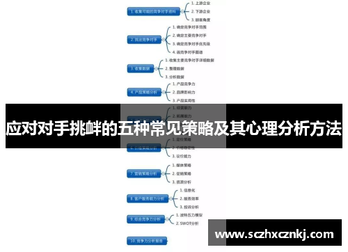 应对对手挑衅的五种常见策略及其心理分析方法