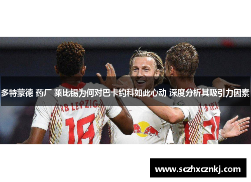 多特蒙德 药厂 莱比锡为何对巴卡约科如此心动 深度分析其吸引力因素