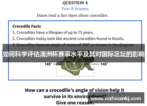 如何科学评估澳洲杯赛事水平及其对国际足坛的影响