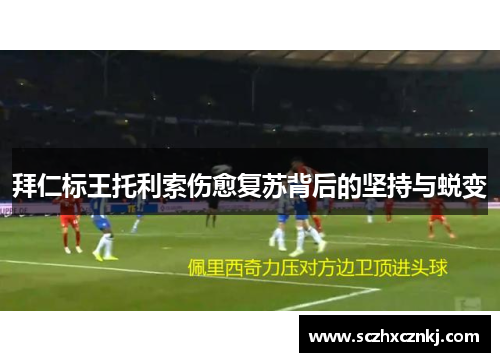 拜仁标王托利索伤愈复苏背后的坚持与蜕变