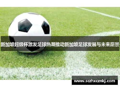 新加坡超级杯激发足球热潮推动新加坡足球发展与未来愿景